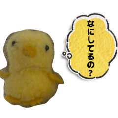 rei_20260318234647
