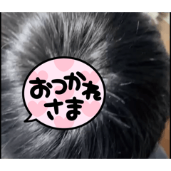 hikoukai_20260320194256