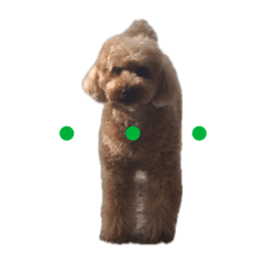 harebi_20260320183802