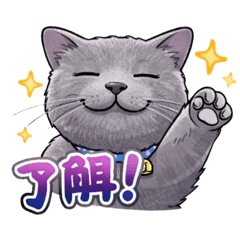 yumeka_20260322212147