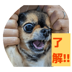 kusuke_20260322212552