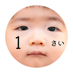 MsK_20260322211834