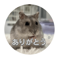 babypink_20260323112004