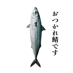 Arakabu_20260323120836