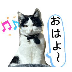 Tomotan_20260323115922