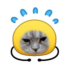 AKIYAMAKE_20260323121318