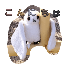 toori_20260320201902