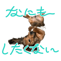 mayu_20260323135733