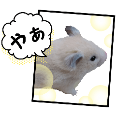 kurumi_20260322212325