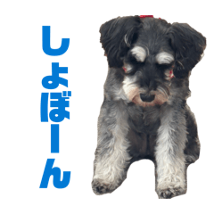 Yuki Ishikawa_20260323140039