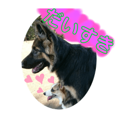 chiharu_20260323141536