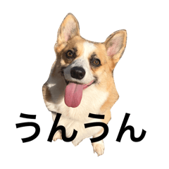 chiharu_20260323141228