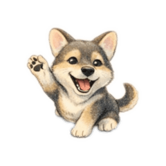 德國牧羊犬日常