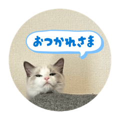 yurina_20260322233815