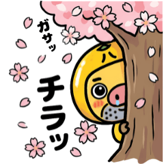 Hassaboo 3: Spring Cute & Daily Pig