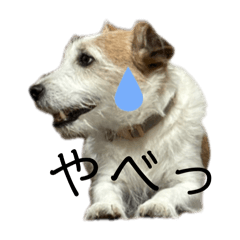 R-harry_20260322234907