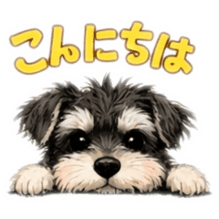 shiozone_20260323125541