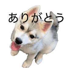 fumika_20260323135107