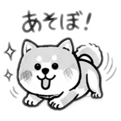 FUUCO_20260323145024