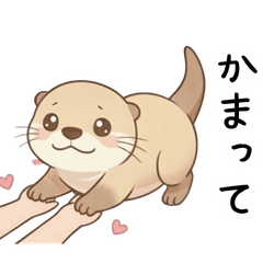 A spoiled otter who wants to be pampered