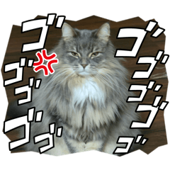 Kakupi_20260323153848