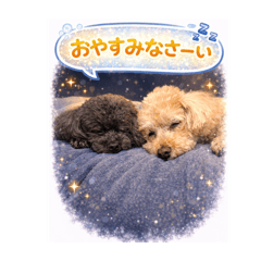 Minmi_20260320211416