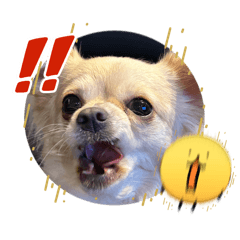 Ruuuuu_20260323154611