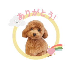 ralfland_20260323155451