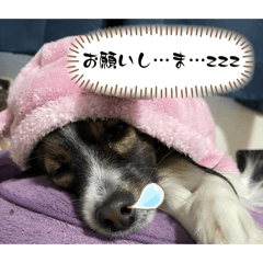 cathy_20260323155328