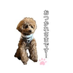 9nTDzdLYklSCXbC7_20260320215135