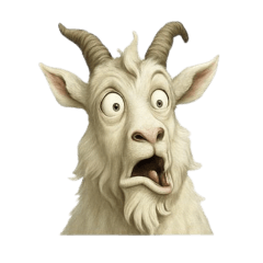 hukuhuku_Our white mountain goat