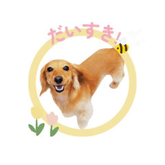 ralfland_20260323162812