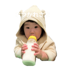 noakichi_20260323160811