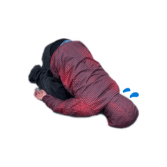 ringo__20260323033808