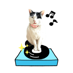 EnOKi_20260323025443