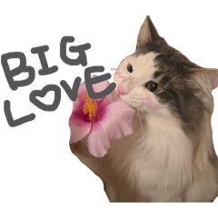 7lonxy_20260321001939