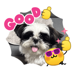 inari_20260323173911