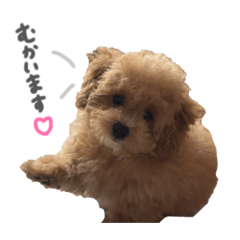 tmmy dayo_20260323174251