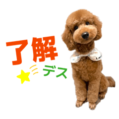 yuriatty_20260323173600