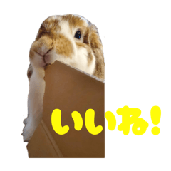 Mugigi_20260323174929