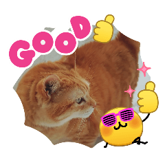 nyanz_20260323174053