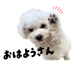 Hikaru_20260323122410