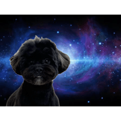 panko_20260323174234