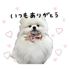 muku_20260323174610