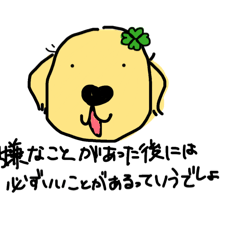 Golden Retriever noiukoto