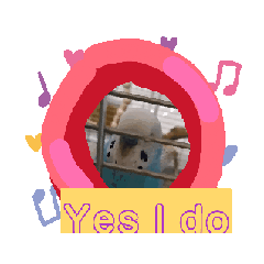 HAPPY BIRD LIFE_20260323180846