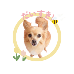 ralfland_20260323181405