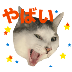 manicures_20260323193353