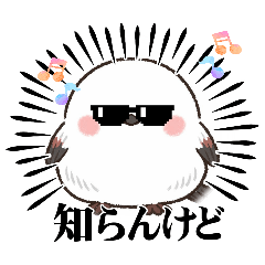 madoka_20260323193257