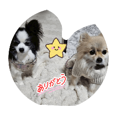 yuta1022_20260323193936